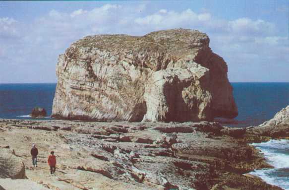 Gozo rock.jpg (26976 Byte)
